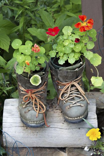 Boots Used As Flower Pots