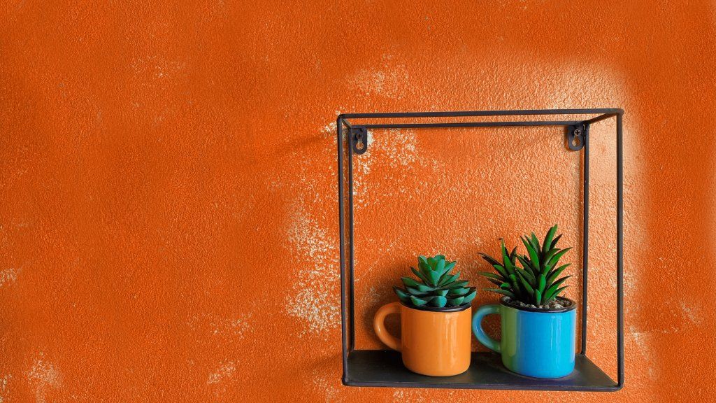 Two succulents planted in mugs against a bright orange wall