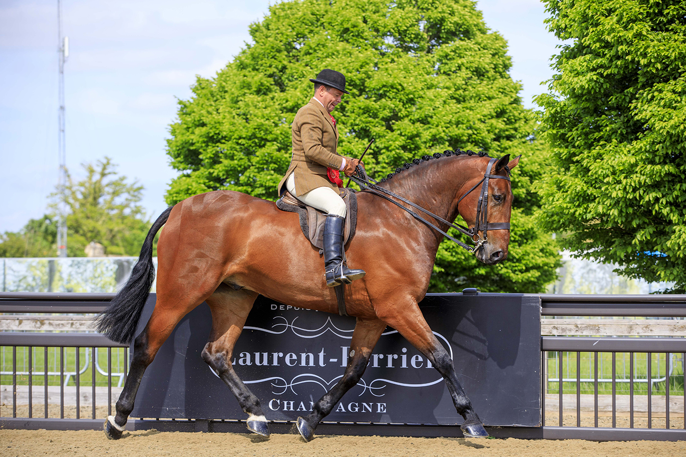 RWHS Day 2