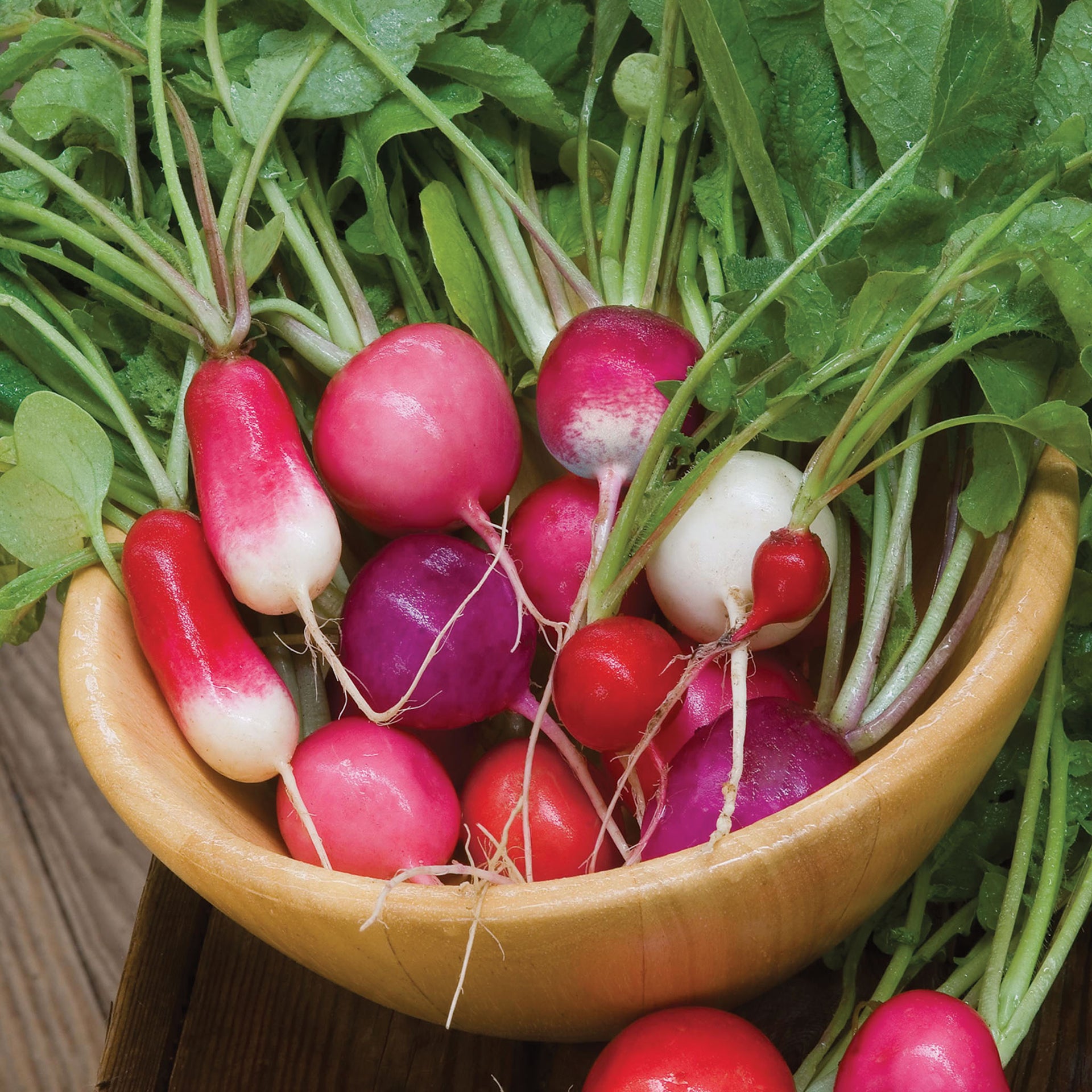 Cooks Custom Blend Radish - 575 Seeds