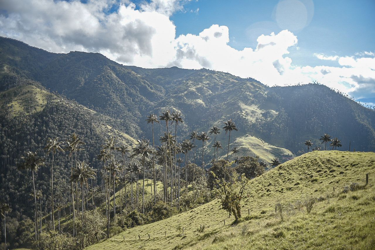 Tropical scenery on stage 4 cross the central cordillera