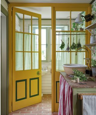 yellow and green door