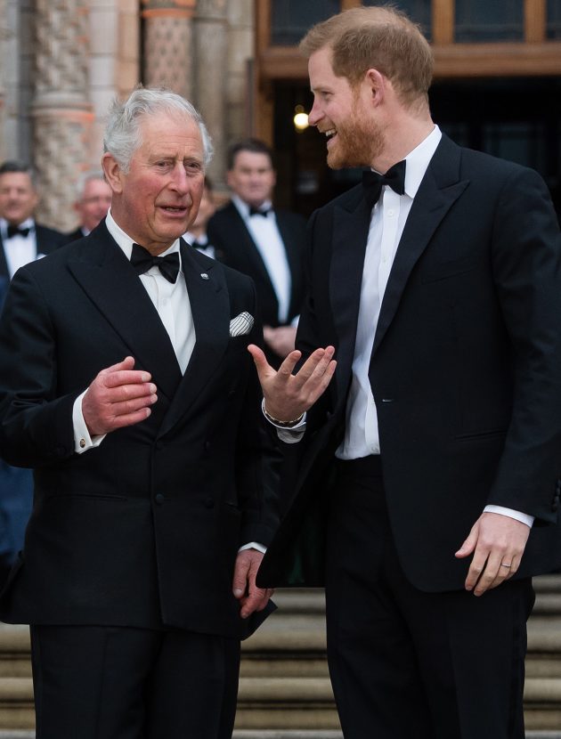 Prince Harry and Prince Charles have everyone talking about this photo ...