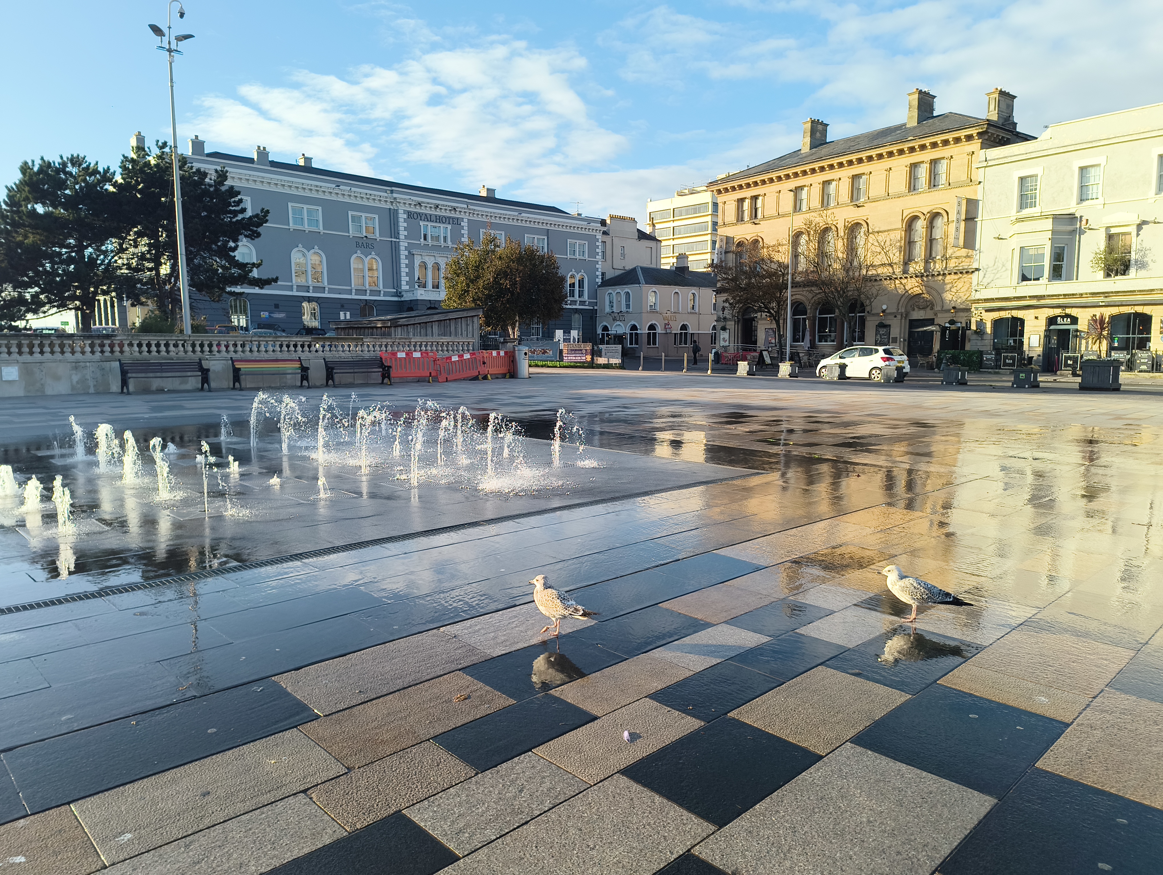Two seagulls stand on the wet, tiled ground of a large public plaza featuring a modern water fountain, with stately historic buildings framing the background.