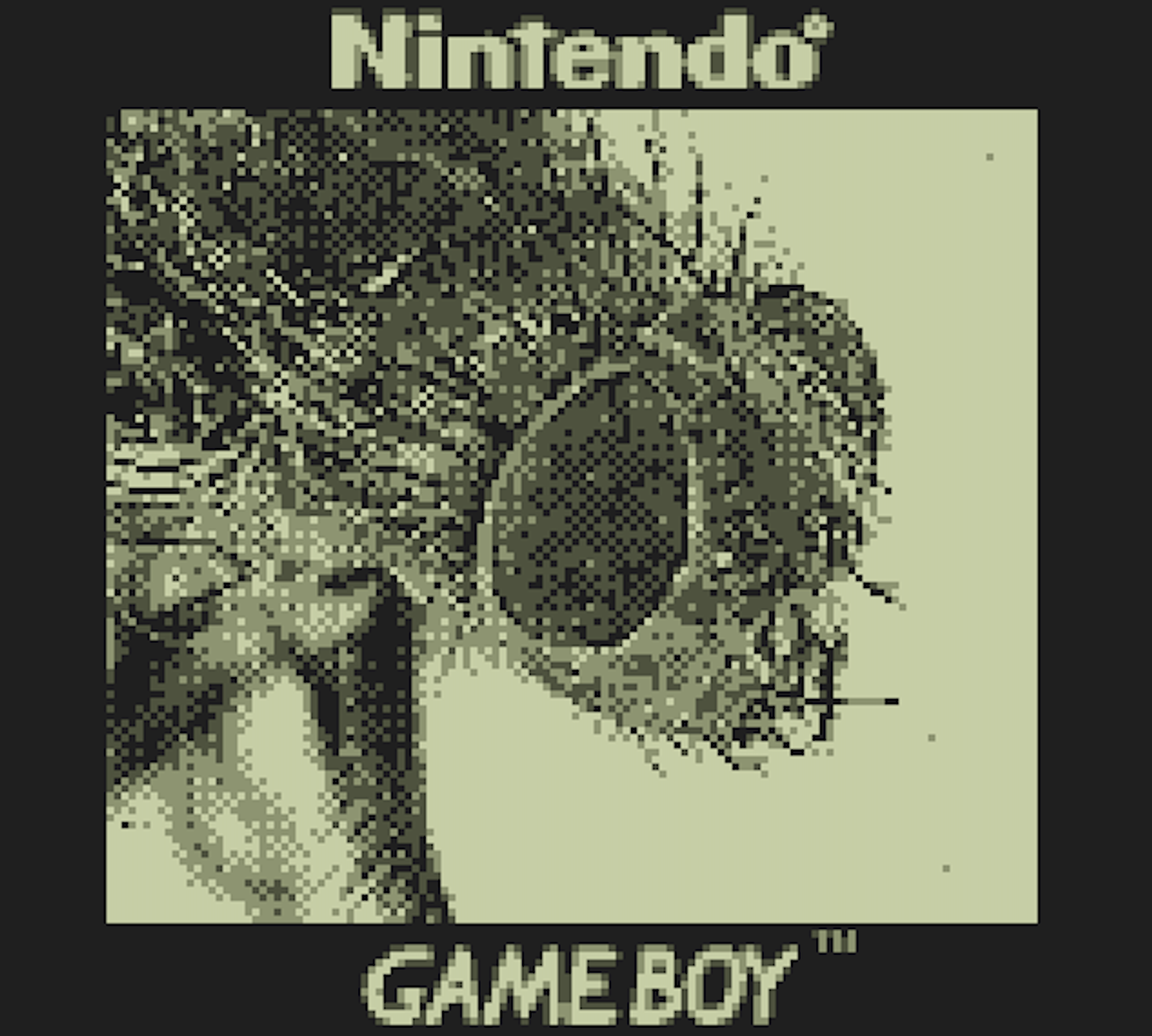 This Game Boy Camera can shoot photos of the moon