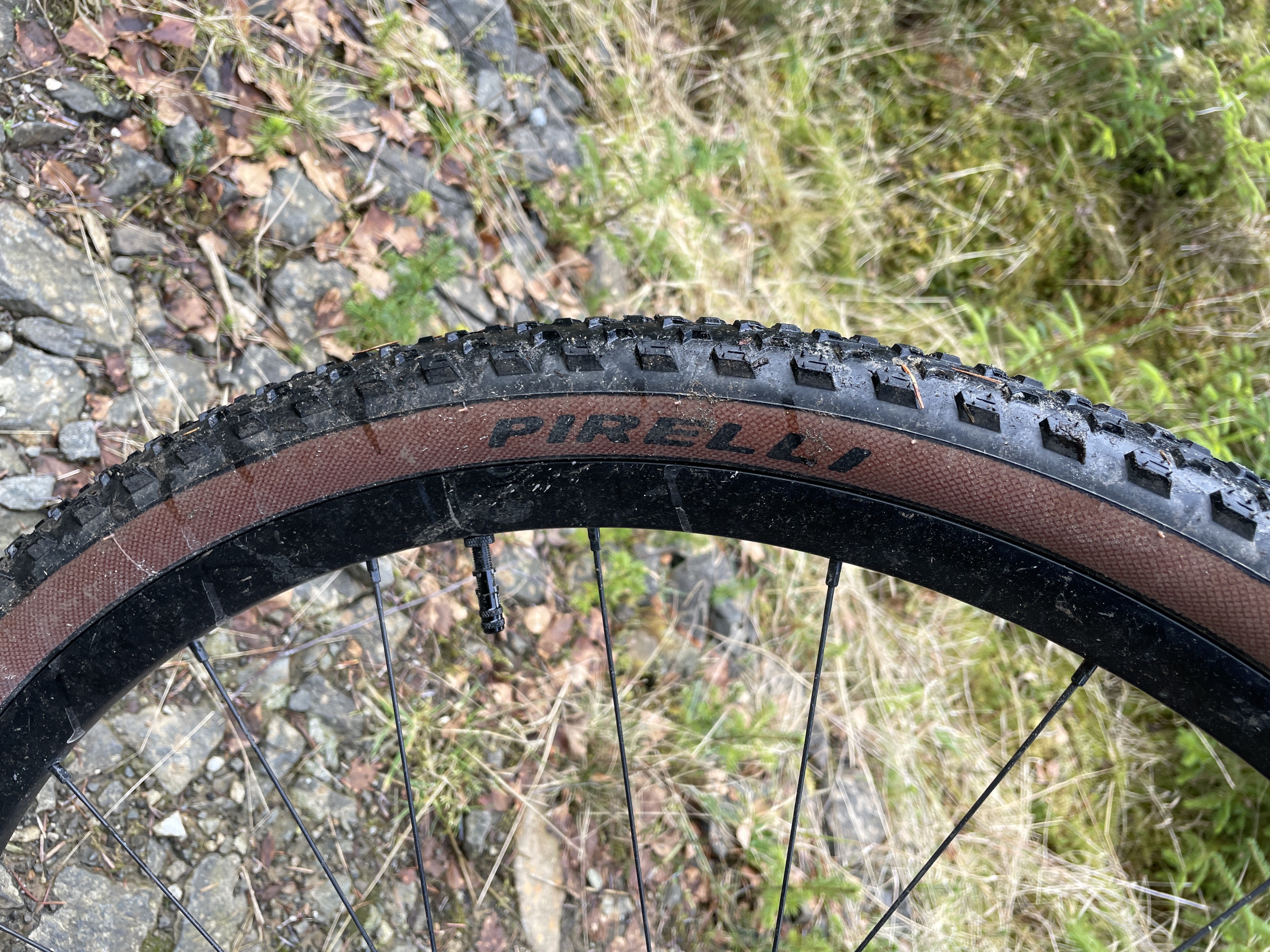 Pirelli Cinturato