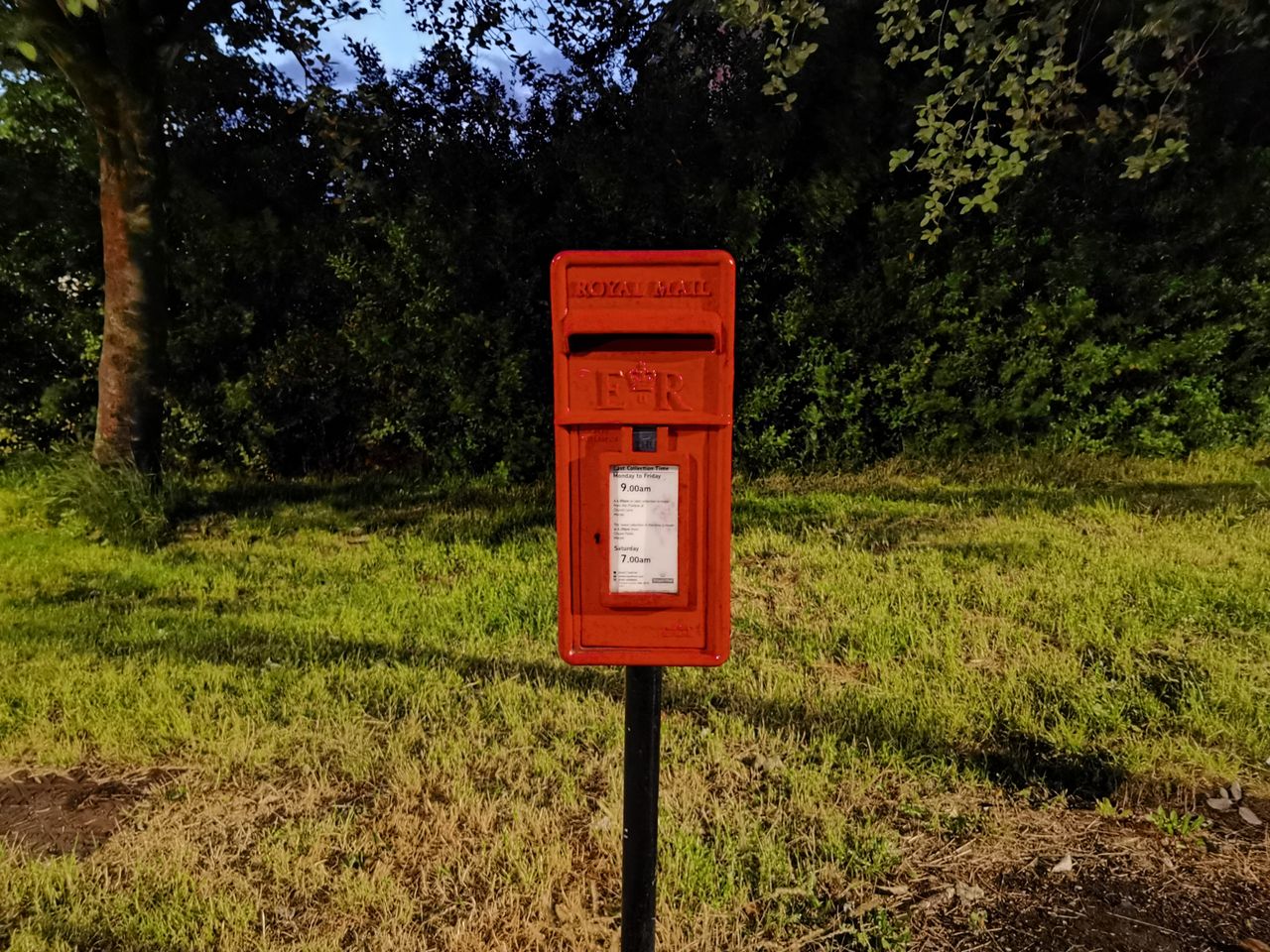 Huawei P40 Pro Plus camera sample