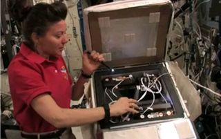 NASA astronaut Cady Coleman shows the habitat that golden orb spiders Esmeralda and Gladys occupied on the International Space Station in 2011.