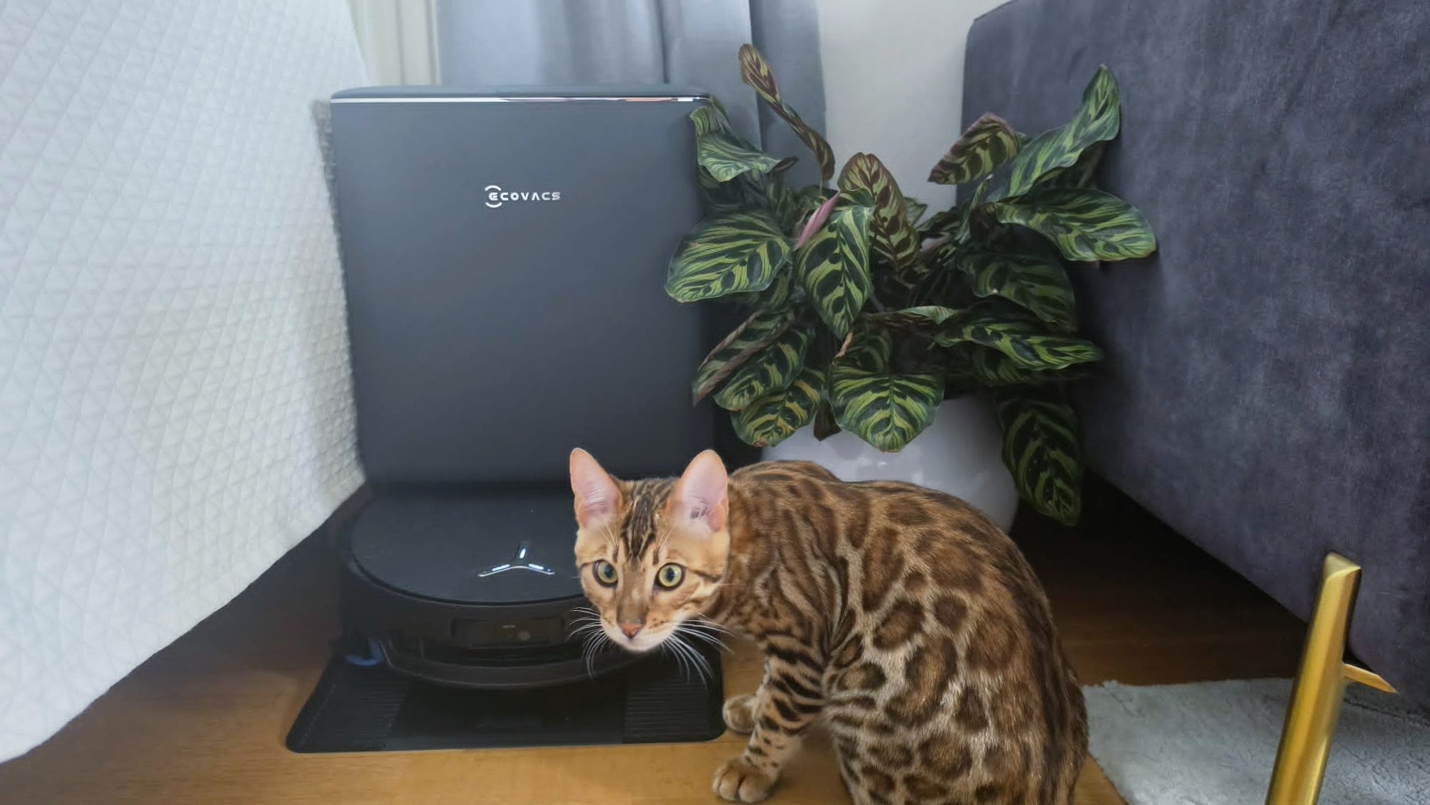Ecovacs Deebot T90 Pro Omni