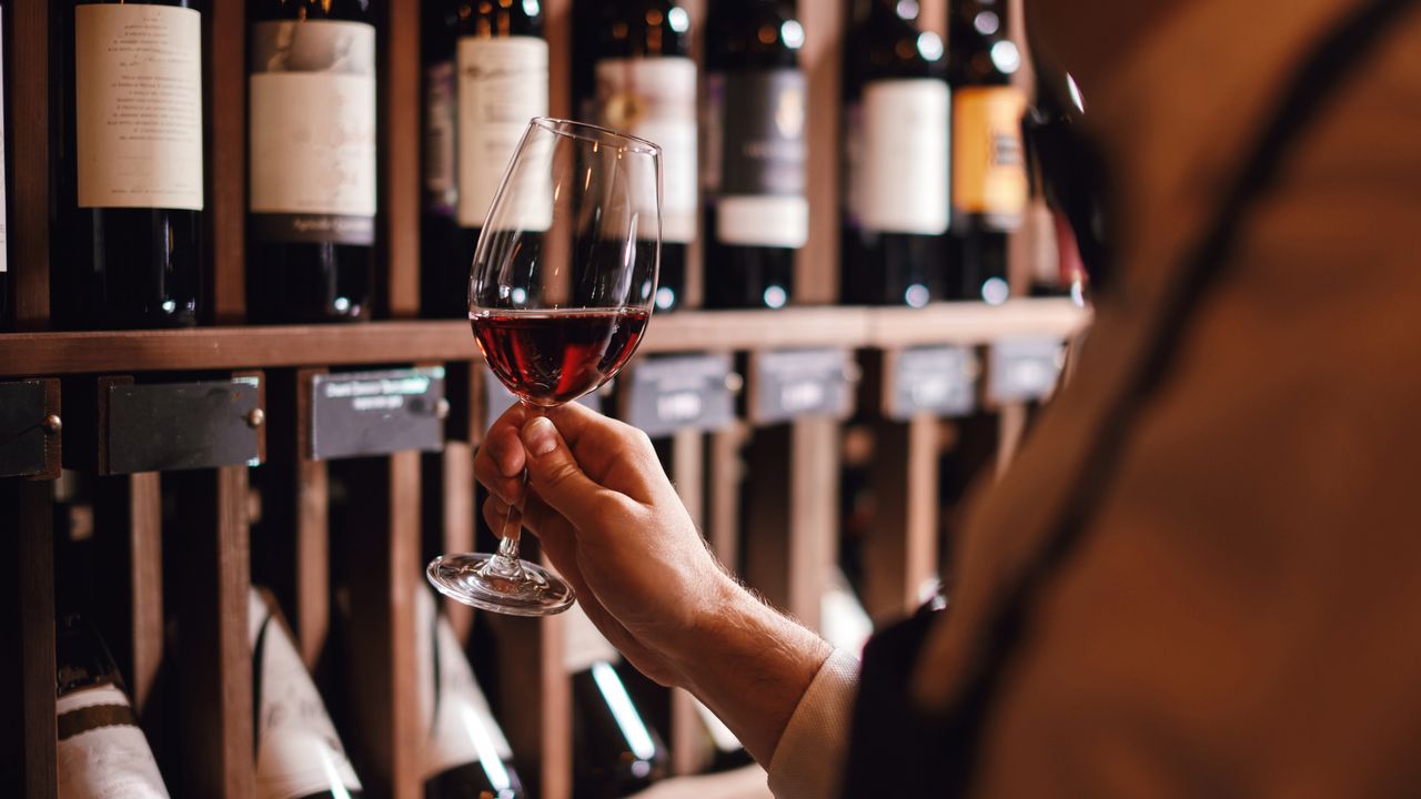 Shelves holding bottles of wine. In front of them, a hand holds up a glass of red wine.