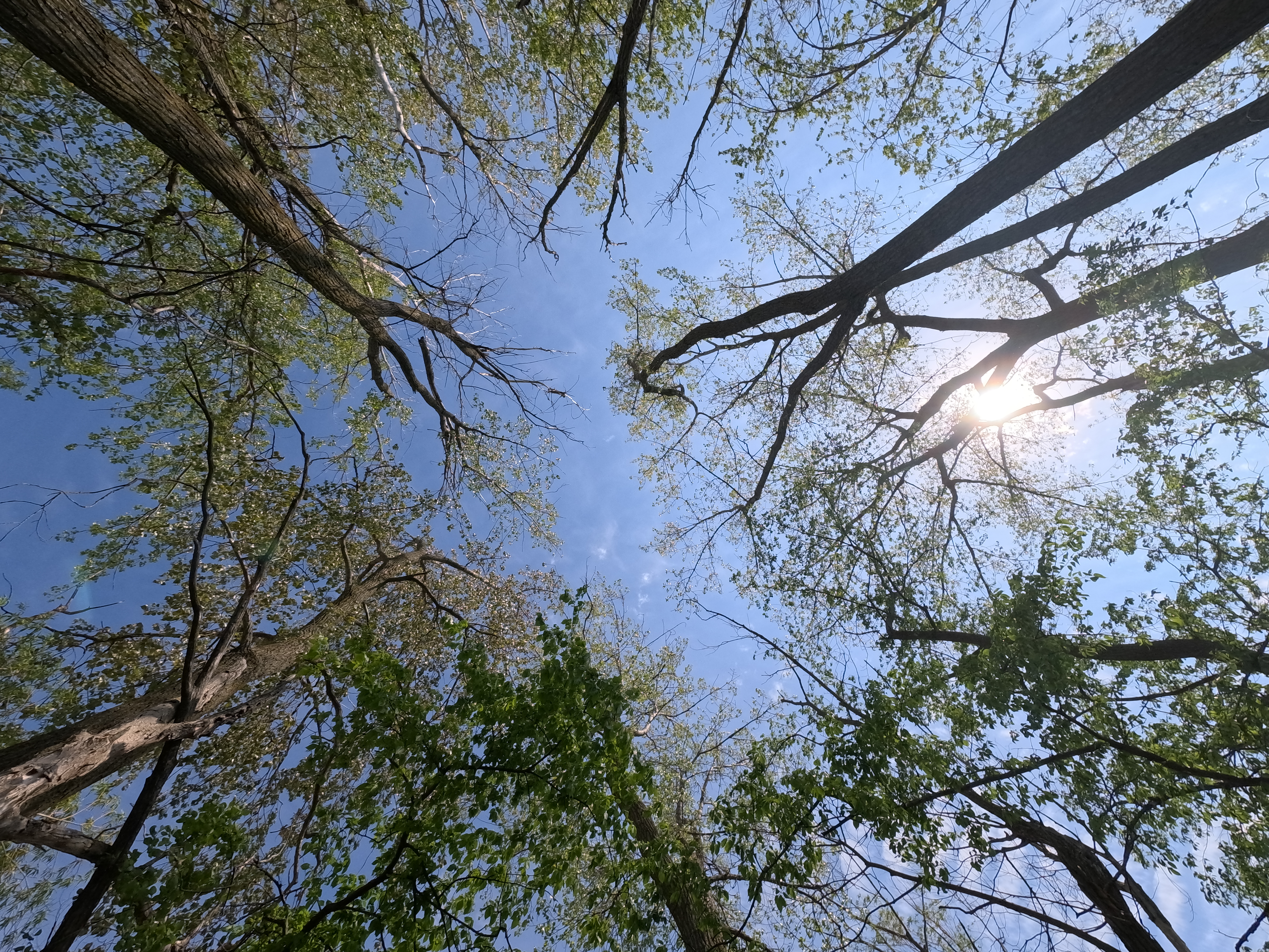 A sample image shot with the GoPro Mission 1 Pro