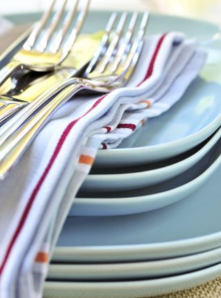 The Bikini Promise: Measure portions in plate sizes