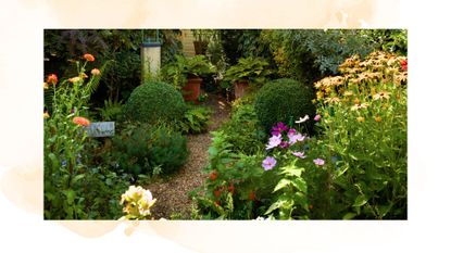 picture of a small garden with lots of plants and small pebble path