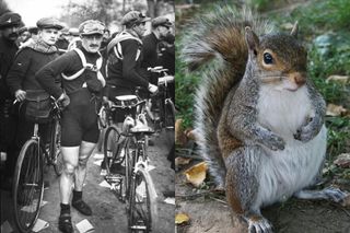 Carlo Galetti (Photo: Bibliotheque Nationale de France) and a squirrel (Nickomargolies/CC)