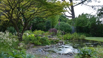 woodland garden with shallow pond