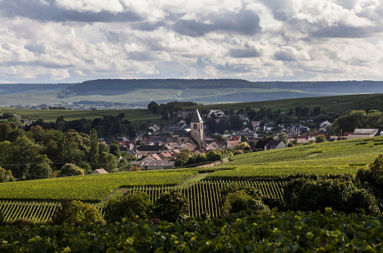 Champagne de Watere vineyard