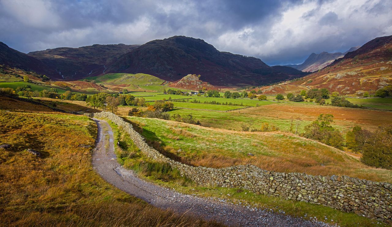 An undulating track winding through farmland in Little Langdale in the Lake District, England.