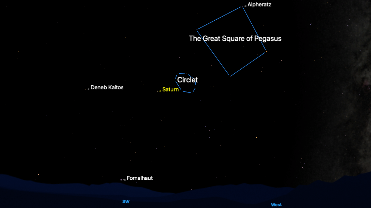 A simulation of the night sky for Dec. 10 showing the diamond formation of stars of the "Great Square of Pegasus" constellation joined by a blue line in a black sky above a silhouetted western horizon. The Circlet asterism is also joined to a line below, with Saturn labelled close to its lower left.