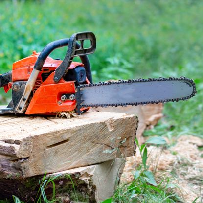 chainsaw on a log