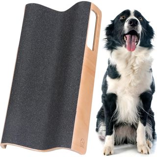 Dog scratch pad against a white background, beside a border collie.