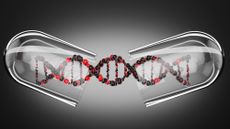 DNA strand in glass capsule