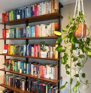 A wooden bookshelf with colorful books and a hanging plant next to it