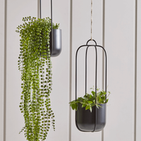 Two Hanging Metal Planters: were £95, now £61.75, Cox &amp; Cox