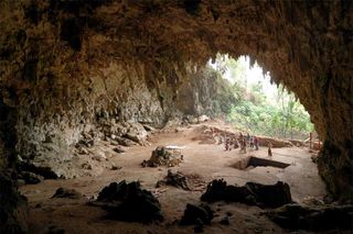 The specimen, along with fossils of various animals, was unearthed in the Liang Bua cave on the island.