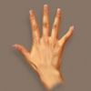 How to draw hands: paint realistic hands in Photoshop