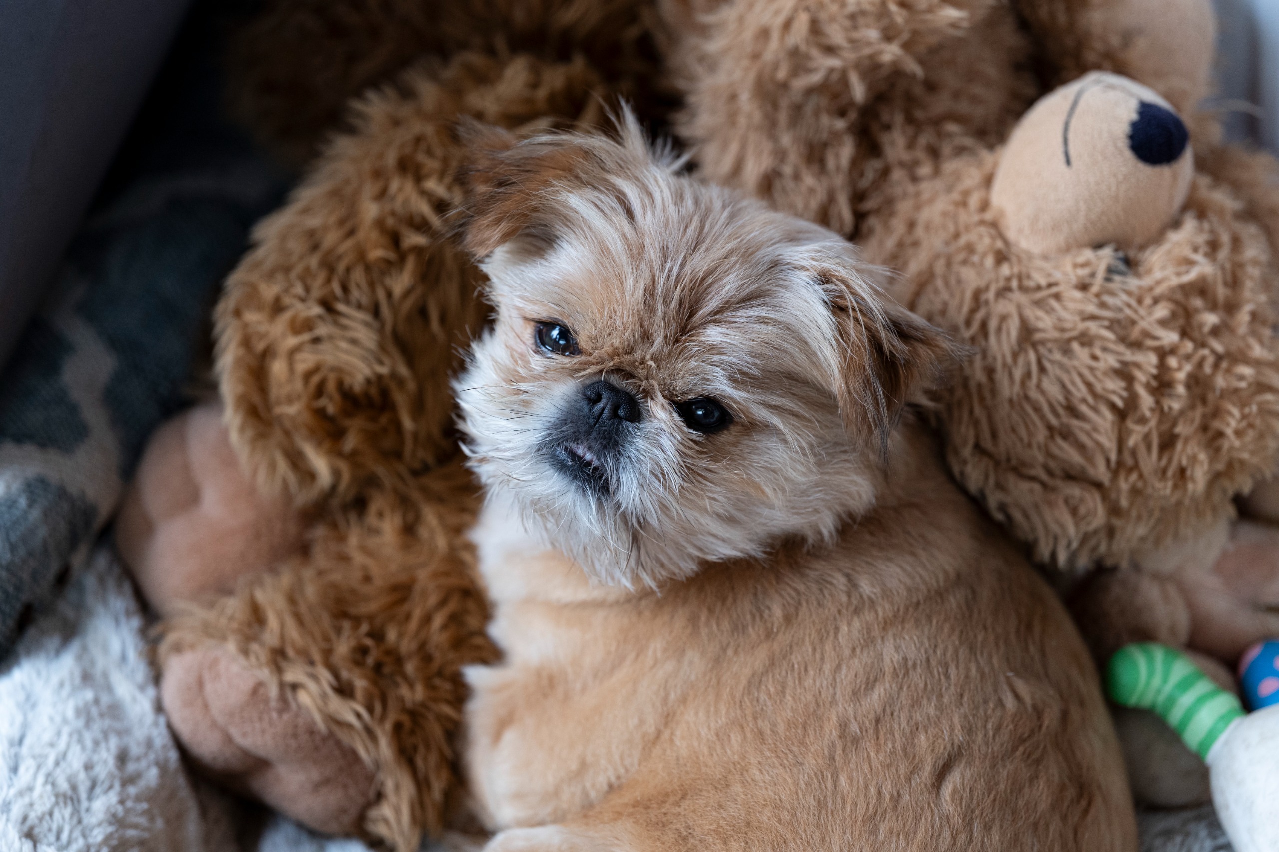 Leica APO-Macro-Elmarit-SL 100 f/2.8 Sample images