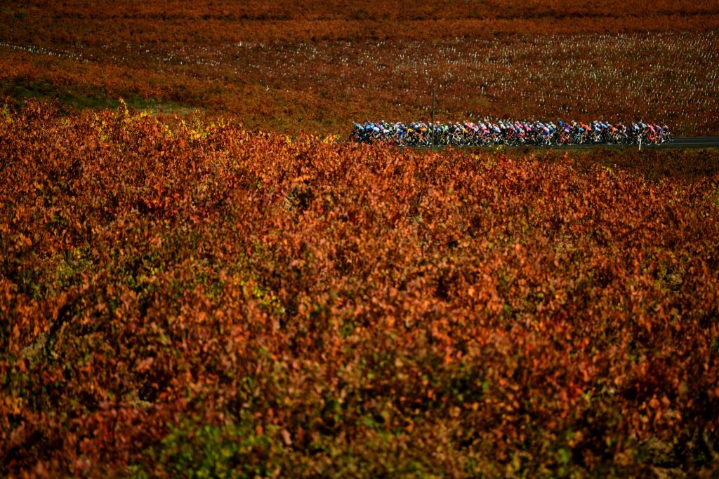 ALTODEMONCALVILLO SPAIN OCTOBER 28 Peloton Vineyards Autumn Landscape during the 75th Tour of Spain 2020 Stage 8 a 164km stage from Logroo to Alto de Moncalvillo 1490m lavuelta LaVuelta20 on October 28 2020 in Alto de Moncalvillo Spain Photo by David RamosGetty Images