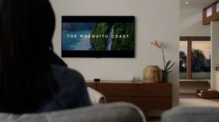 Apple homepod hot sale tv