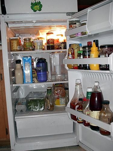 Fridge of champions