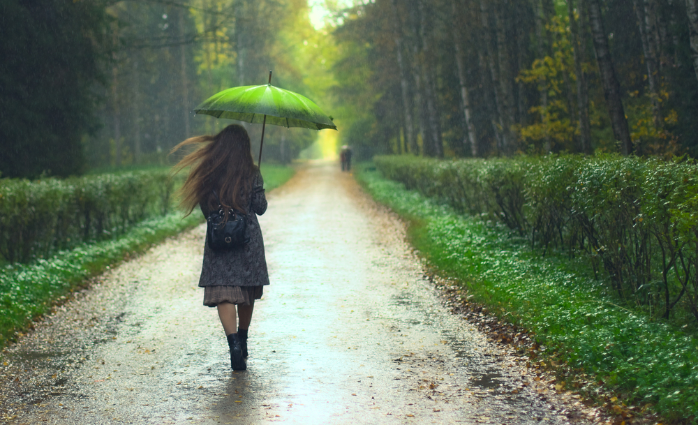 Why Rain Gives Off That Fresh, Earthy Smell Live Science