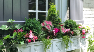 White window box planter with pink flowers