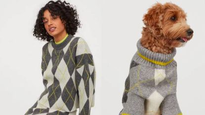 Matching owner clearance and dog jumpers