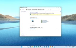 Windows 11 set up BitLocker
