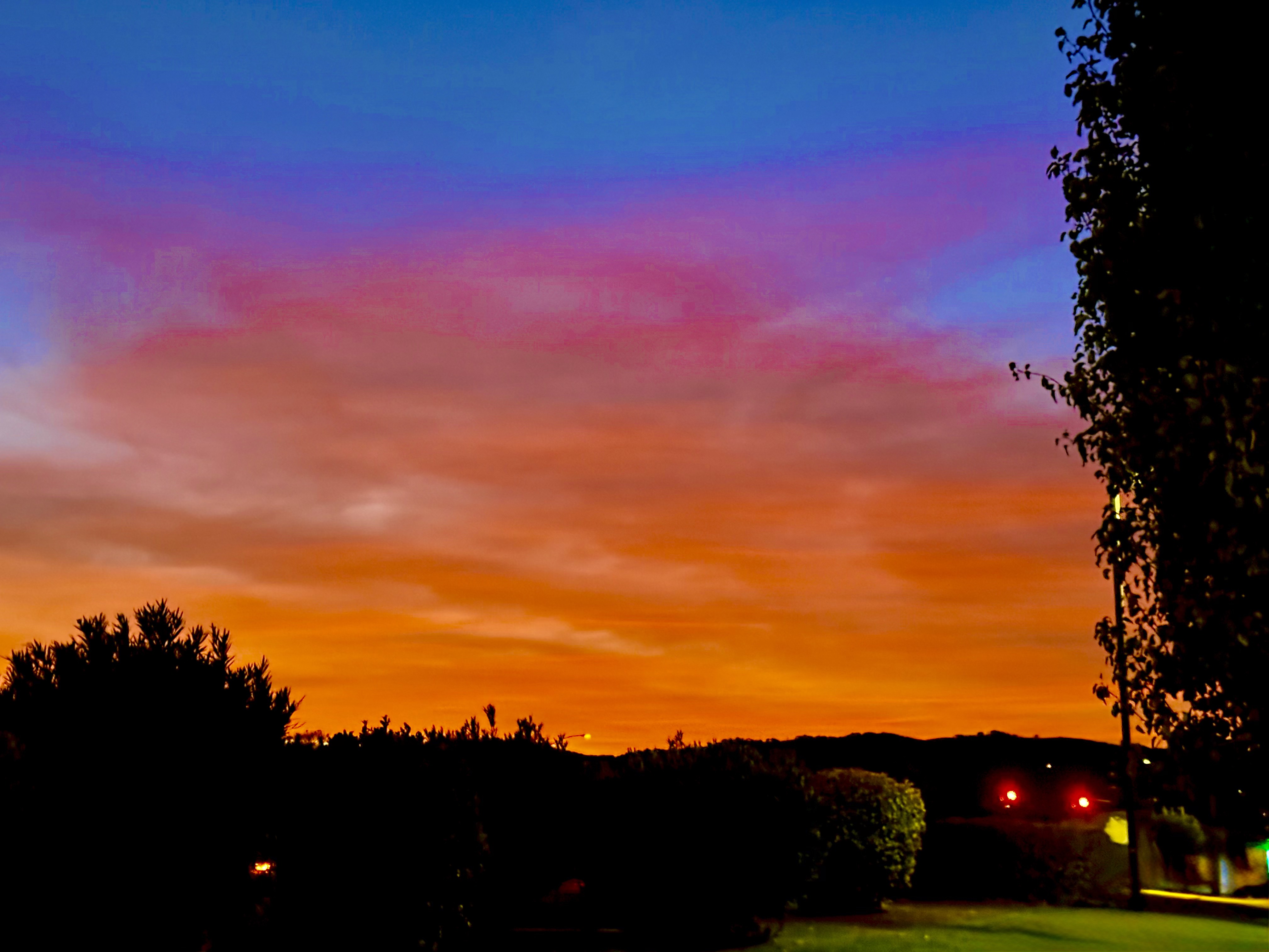 GuruShots - February 2026