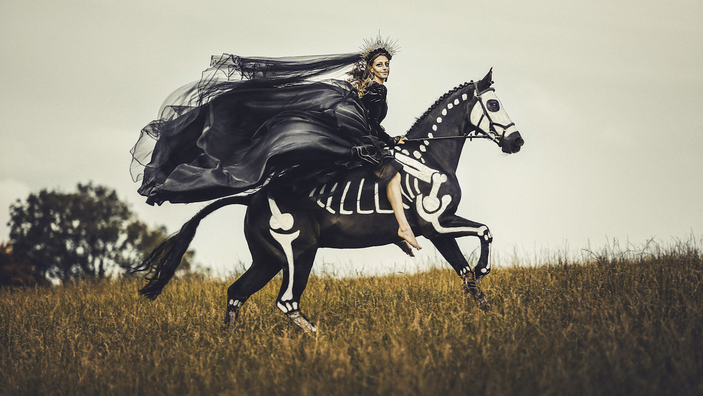 Indy-Equine-1.jpg