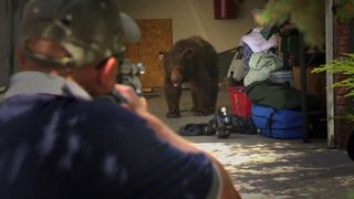 A tranquilizer dart is aimed at an urban bear that broke into a residential garage in Nevada.