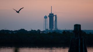 SpaceX's Demo-2 Crew Dragon and Falcon 9 rocket stand atop Pad 39A of NASA's Kennedy Space Center at dawn on May 27, 2020 for its first launch attempt, which was delayed by weather.