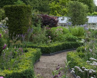 A parterre in a Victorian walled garden. A formal arrangement of differently shaped, box edged beds planted with roses, alliums, lychnis, phloxes, toadflaxes and mallows. Imposing yew columns and pleached crab apples add permanent structure.
