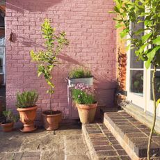 Mylands Bloomsbury® No.267 (Wall - Masonry Paint)_Mylands_@theoldredbrickvictorian_2