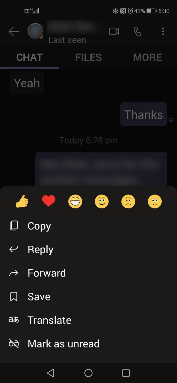 Teams Translation Option