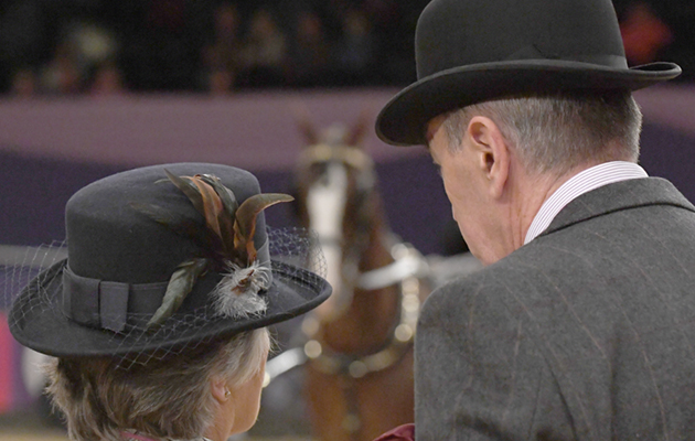 HOYS-judges-DSC_9153.jpg