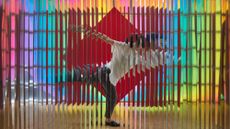 Screen with Reflective Blades 1966-2005