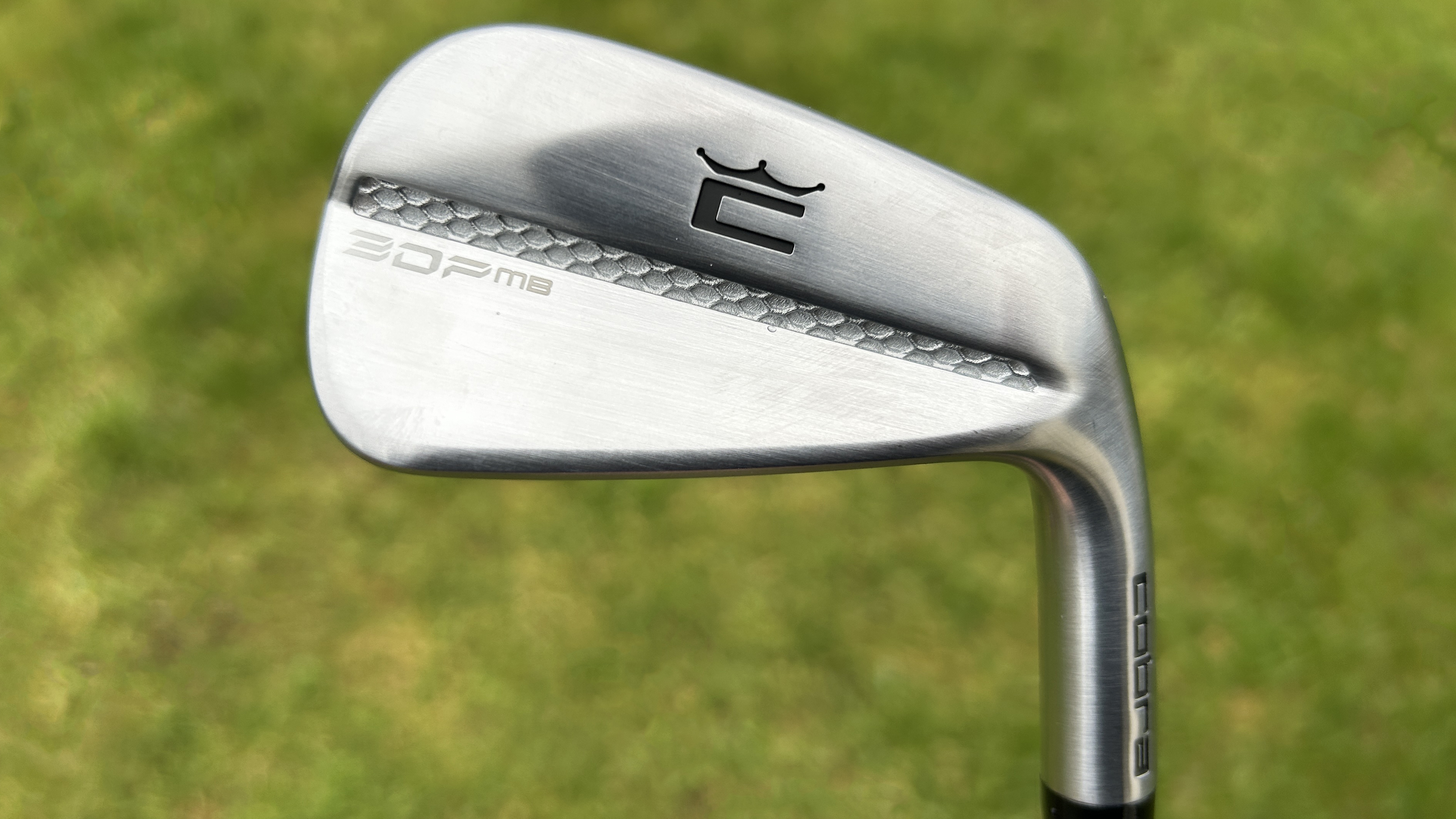 Photo of the Cobra 3DP MB Iron