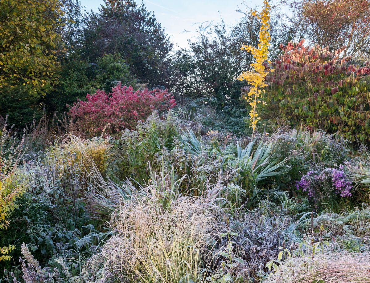 5 choses faciles à faire maintenant pour donner à votre jardin un look magnifique lorsque l'hiver arrive