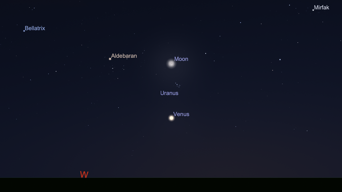 A labeled night sky map with a dark blue night sky with labeled dots for Venus, the moon, Uranus and the Pleiades night sky cluster.