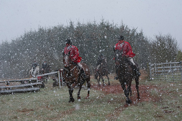 horsesinsnow3
